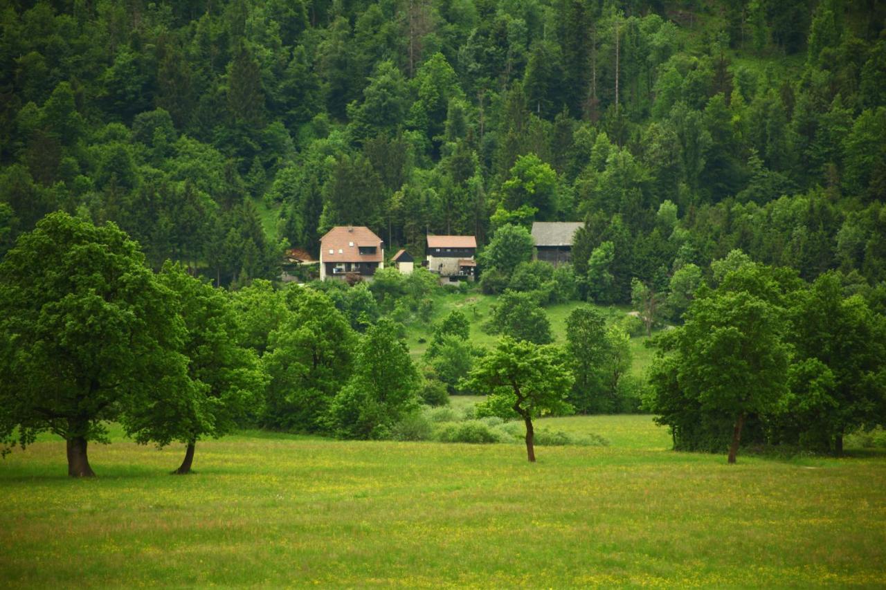 Apartment Sefic Planina  Exteriör bild